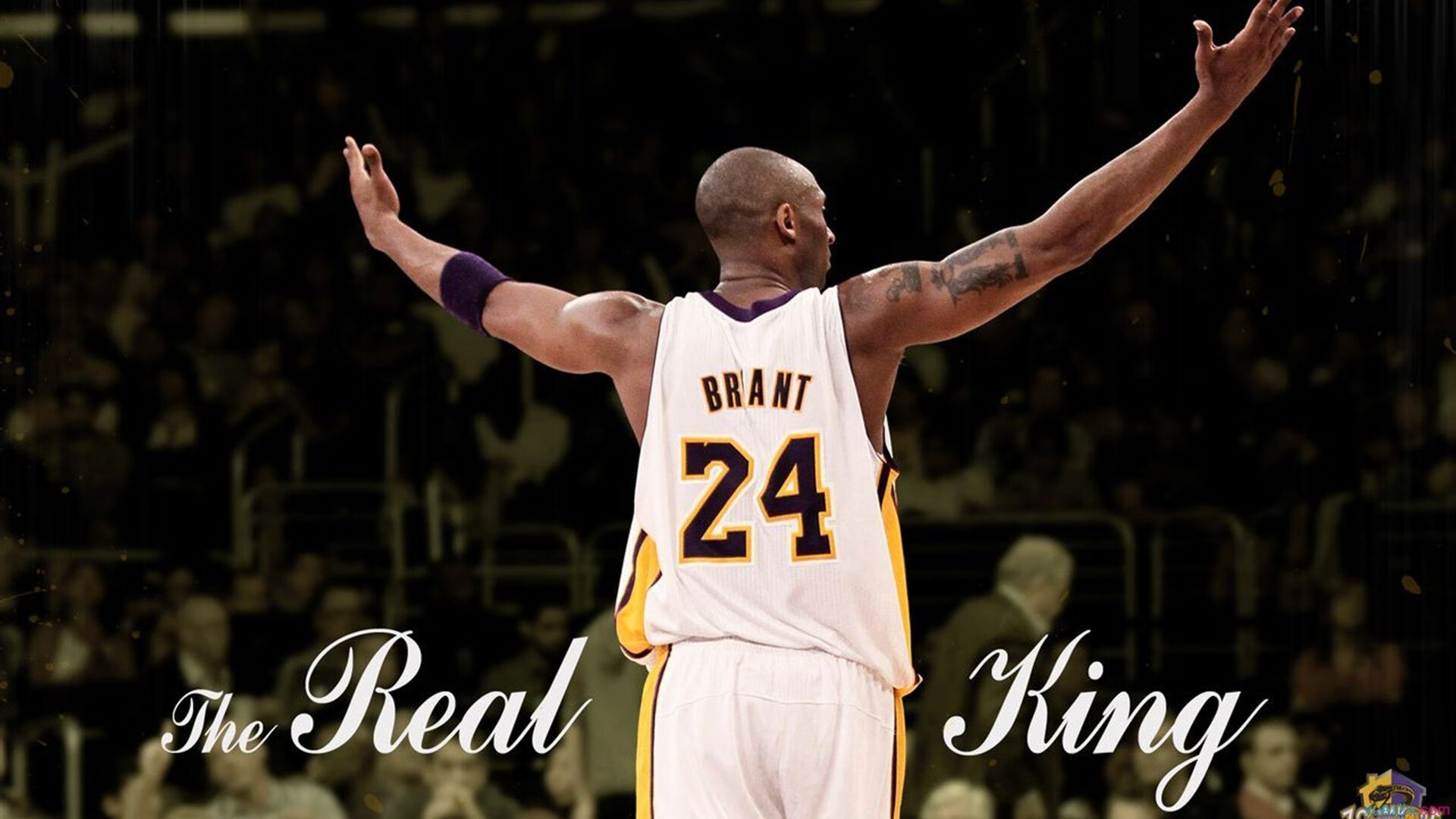 “尼古拉斯·桑特基的冷静头脑与决策力，为美洲狮队带来胜利的钥匙”